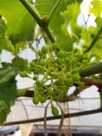 20190531_083436-1620x2160