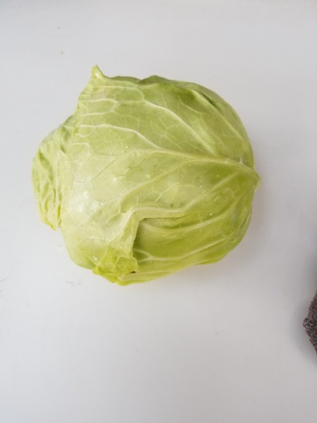 20191229_095345-2268x3024