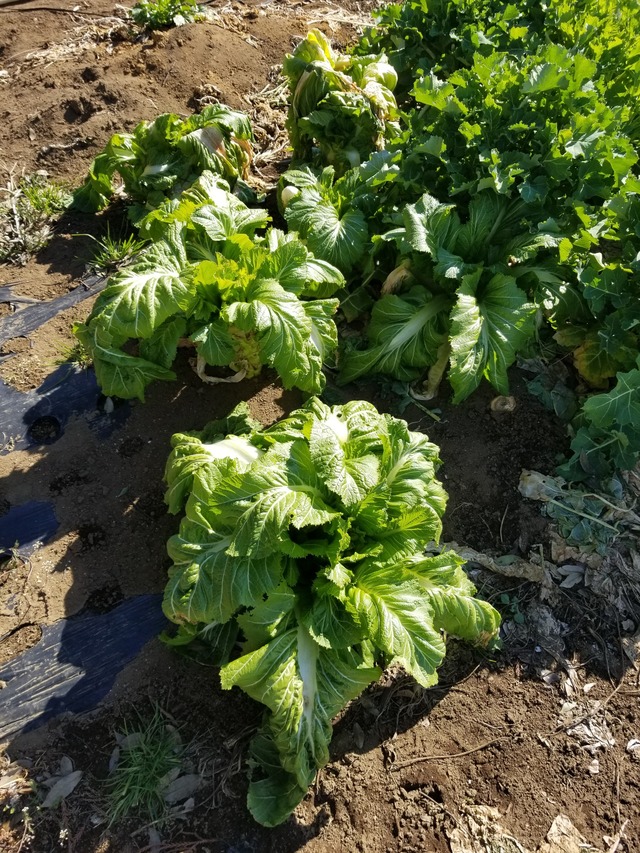 20240214_103631_copy_2268x3024