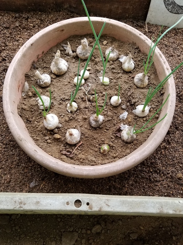 20230615_075900_copy_1512x2016