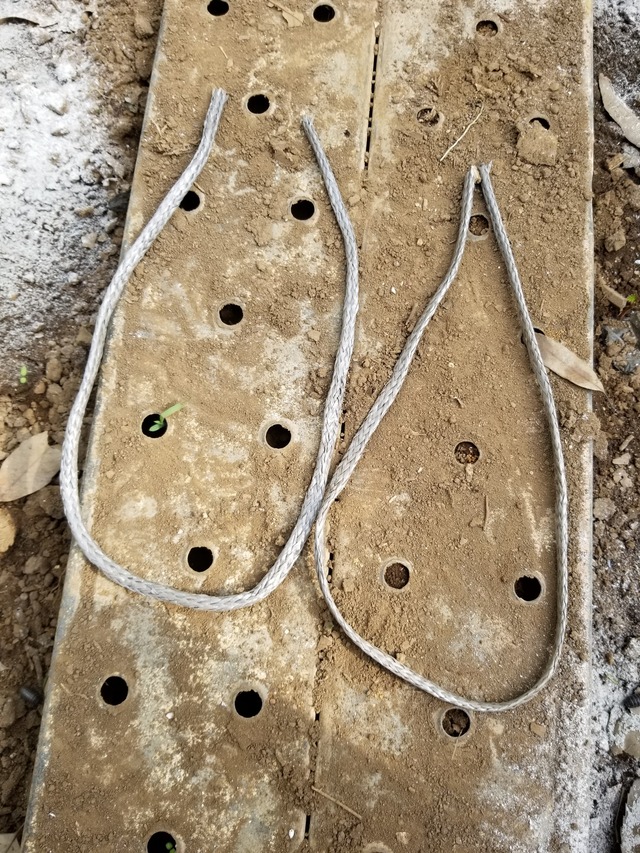 20200513_080236_copy_2268x3024