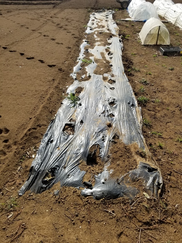 20240215_102205_copy_2268x3024