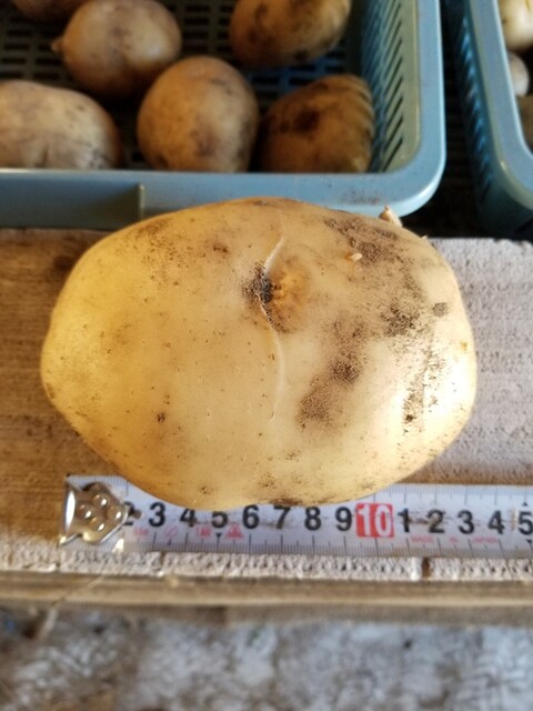 3-1