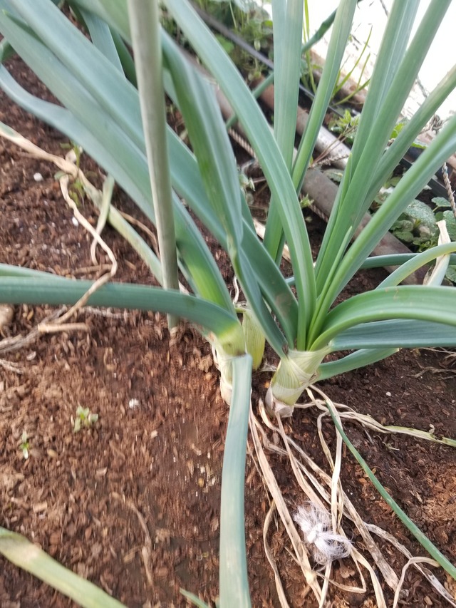 20240212_092243_copy_2268x3024