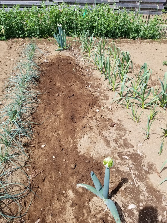 20230331_111024_copy_1512x2016