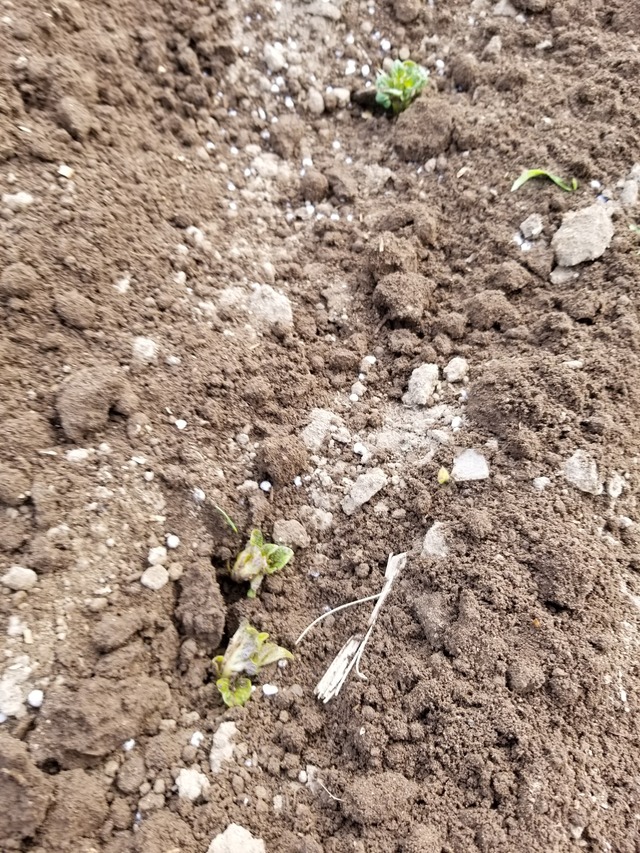 20210917_083627_copy_2268x3024