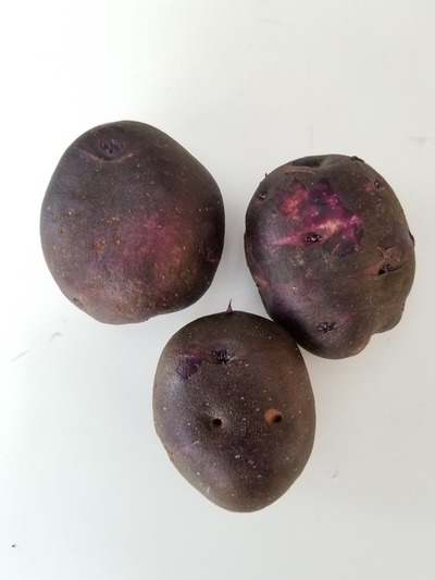 ホーム画面エクスブローラー1411