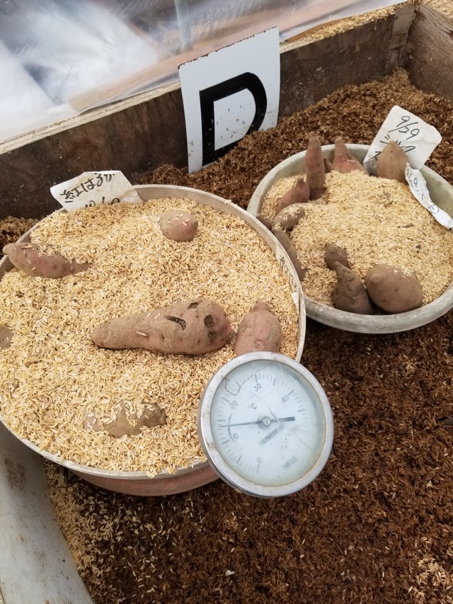 20231211_085615_copy_1512x2016