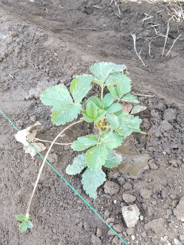 IMG_20231017_143441_copy_1512x2016