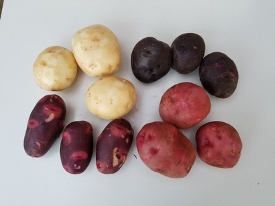 ホーム画面エクスブローラー14