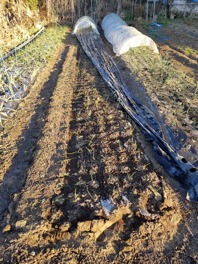 20211223_073707_copy_2268x3024