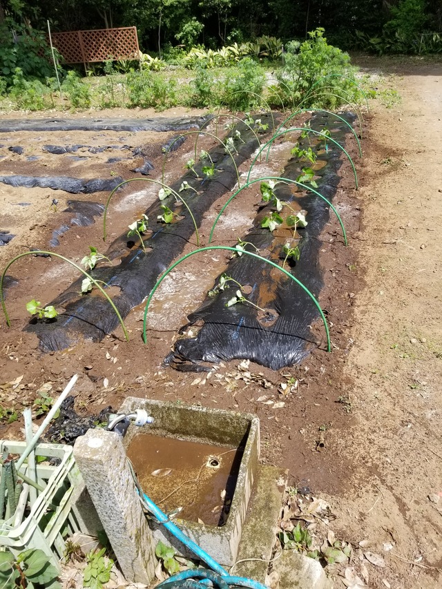 20230429_104218_copy_1512x2016