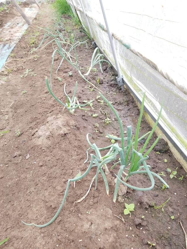 IMG_20231009_110845_copy_1512x2016