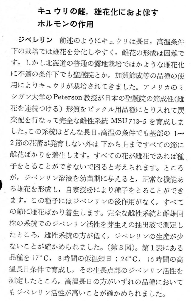 キュウリ のじさんの徒然草