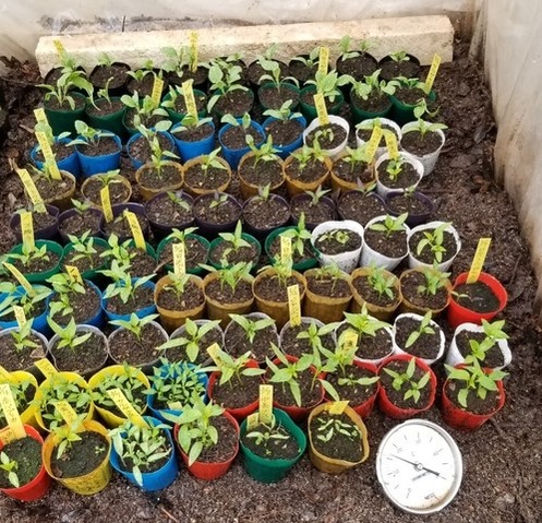 20190330_102558-1365x1024