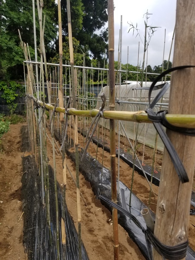 20230513_104204_copy_1512x2016