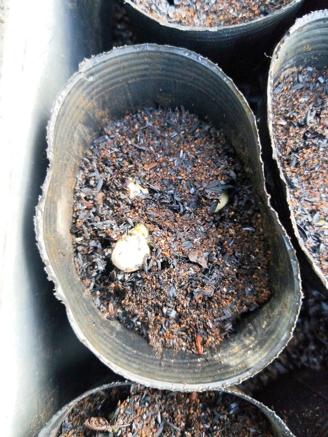 IMG_20231101_073805_DRO_copy_1512x2016