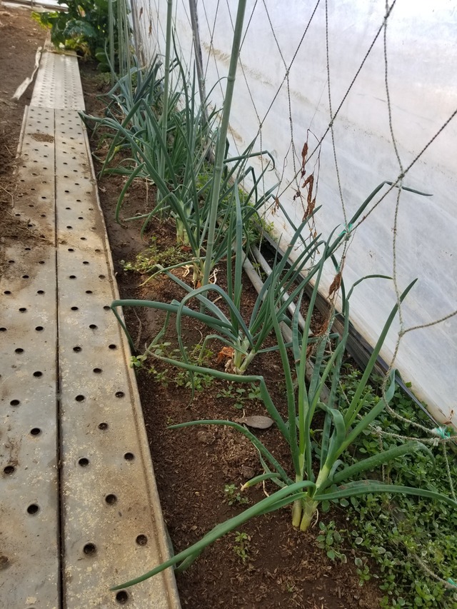 20240212_092211_copy_2268x3024