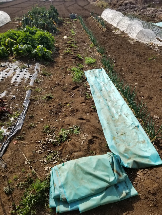 20240215_094948_copy_2268x3024