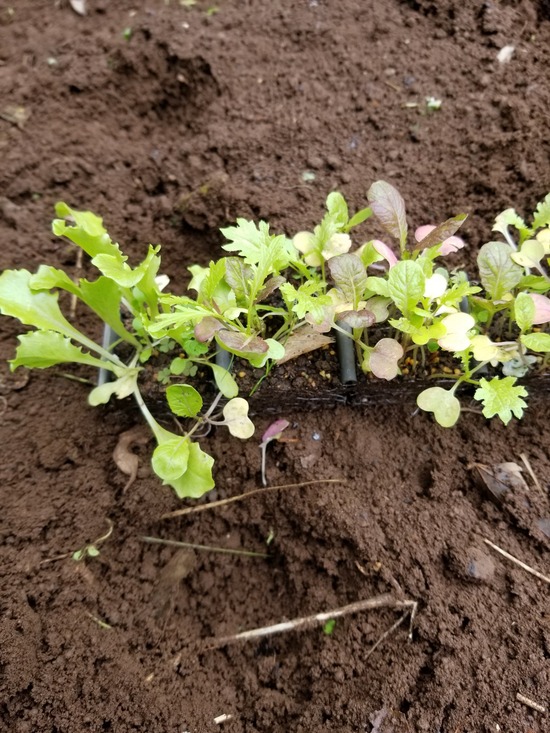 20191018_083005-1620x2160