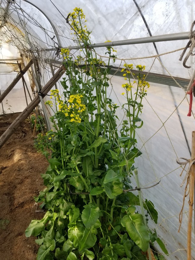 20240411_084649_copy_2268x3024