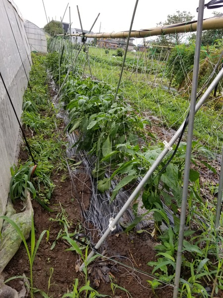 20190702_084343-1620x2160