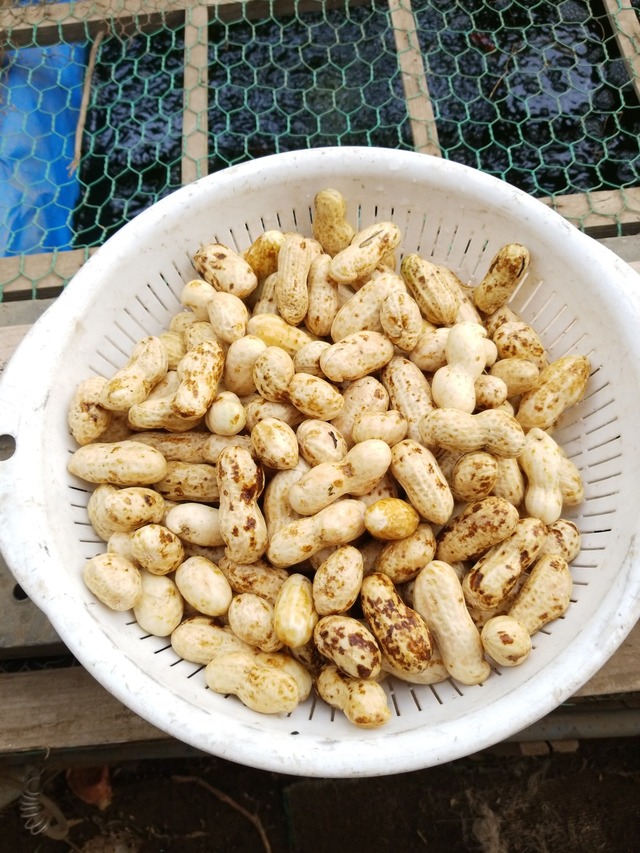 IMG_20231014_093252_copy_1512x2016