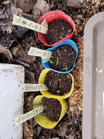 20200127_073924-2268x3024