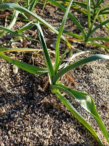 20191231_141811-2268x3024