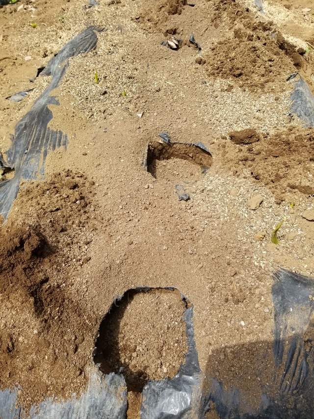 20230425_110758_copy_1512x2016