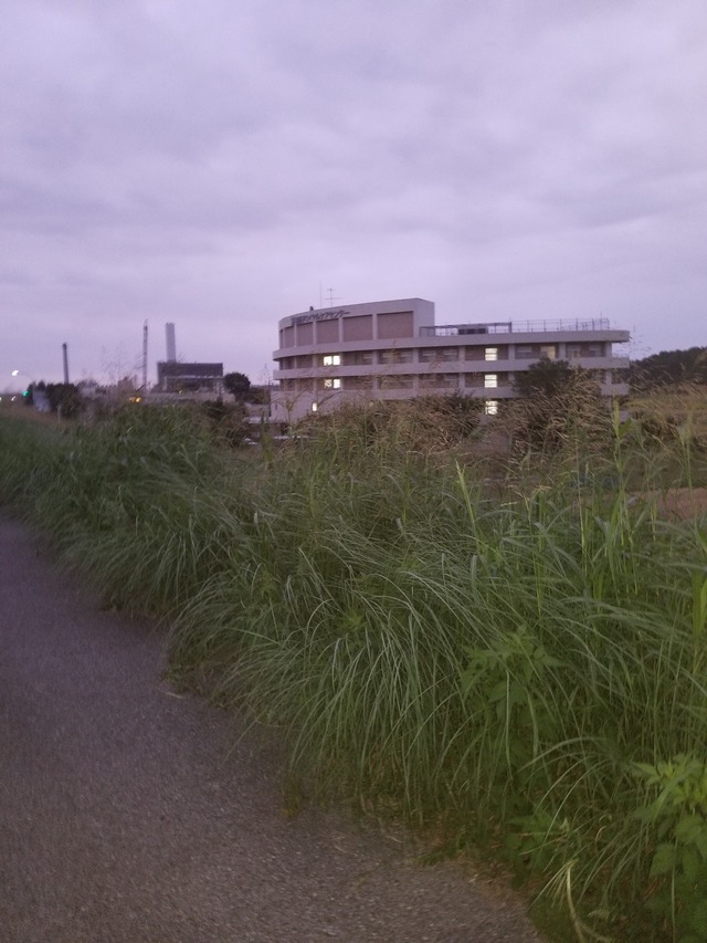 20220915_050934_copy_2268x3024