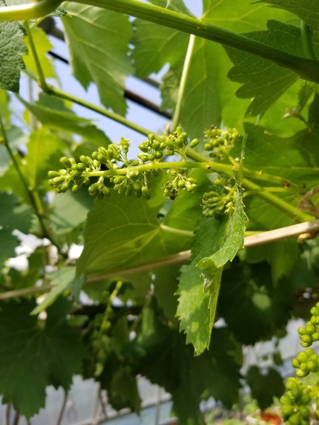 20230504_091817_copy_1512x2016