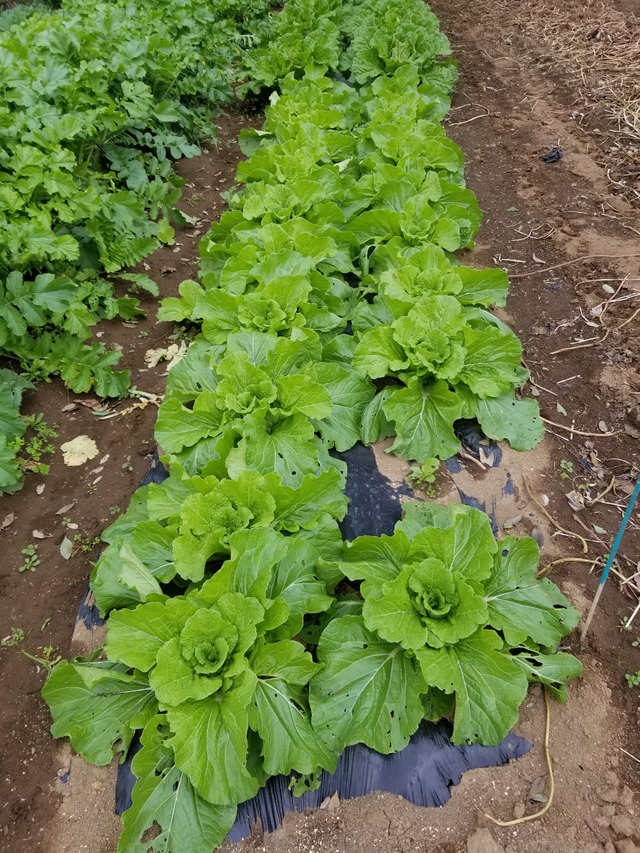 20211031_093533_copy_2268x3024