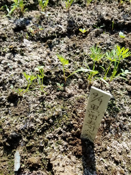 20190927_084242-1620x2160