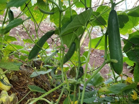 20190822_074531-2160x1620