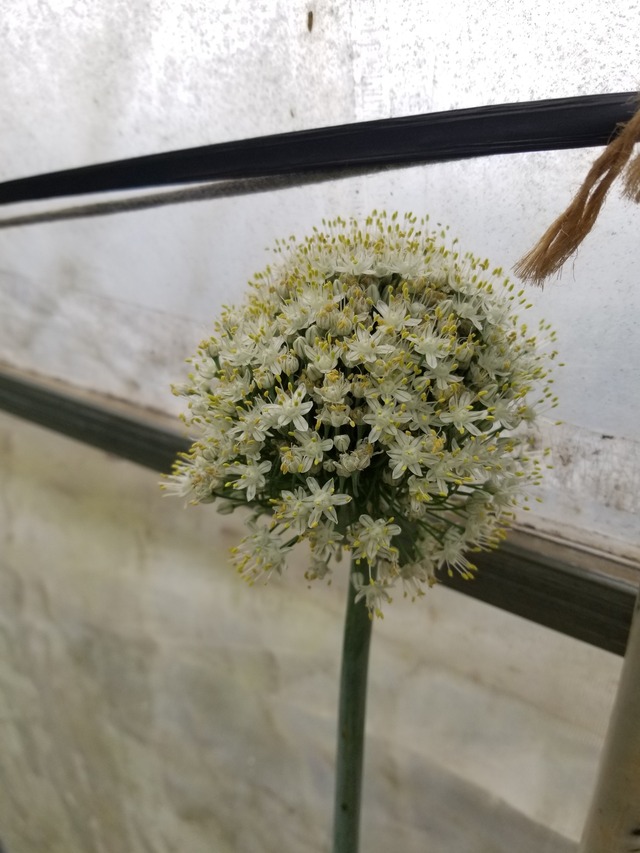 20230530_074717_copy_1512x2016