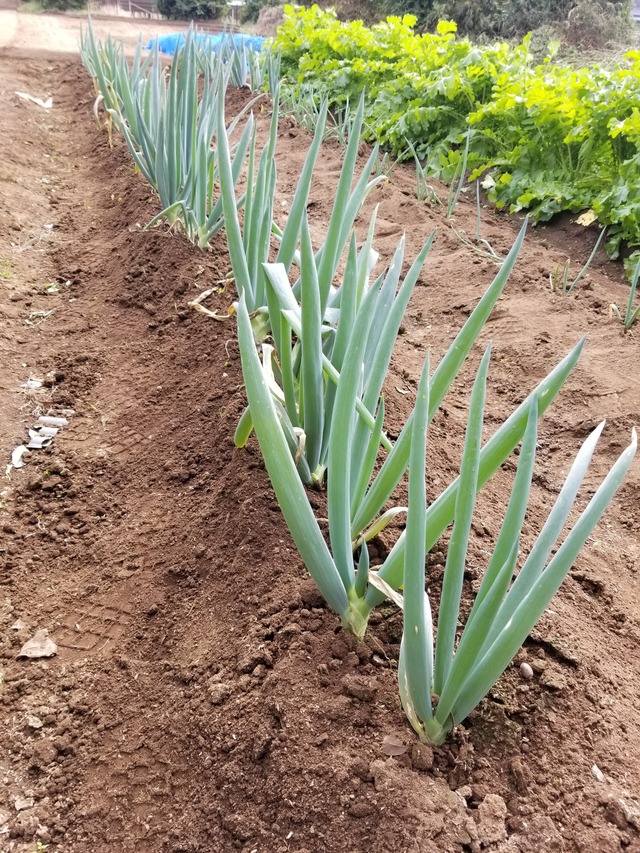 20221022_130030_copy_1512x2016