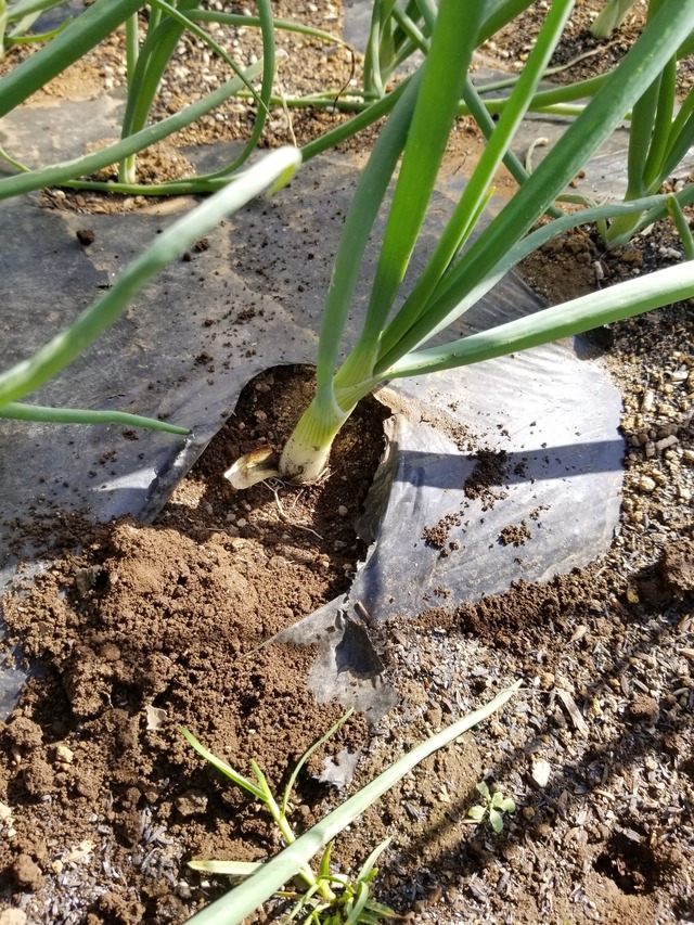 20231122_110625_copy_1512x2016