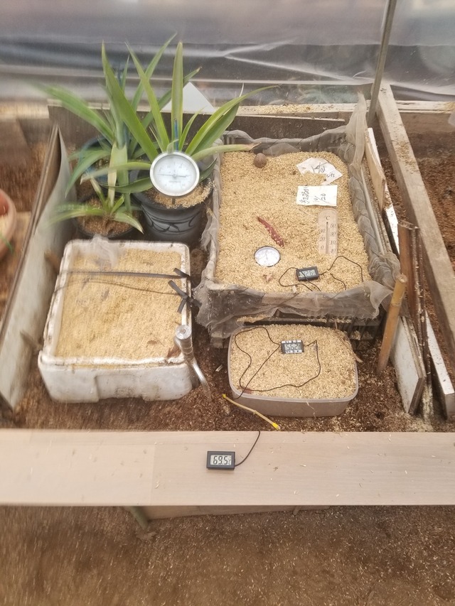 20240111_074122_copy_1512x2016