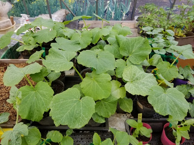 20230416_135445_copy_2016x1512