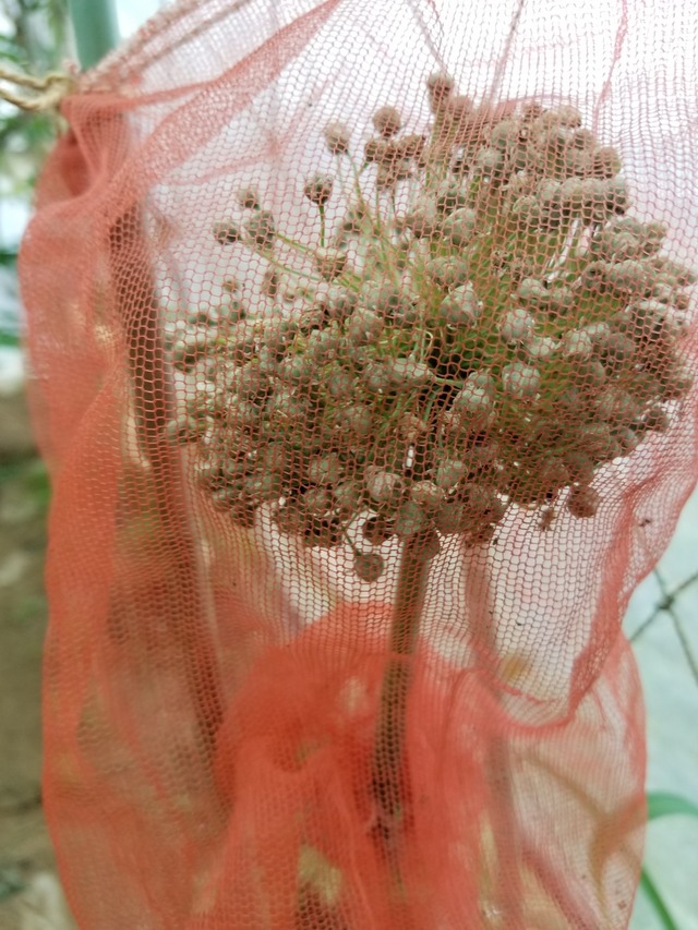 20230615_080248_copy_1512x2016