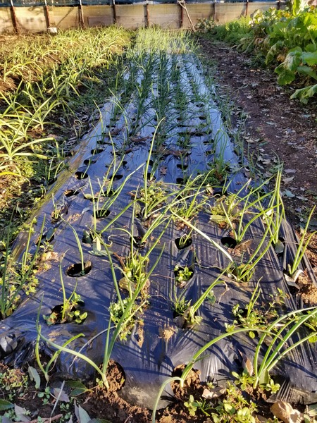 20191227_151225-2268x3024