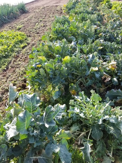 20200220_085309-2268x3024