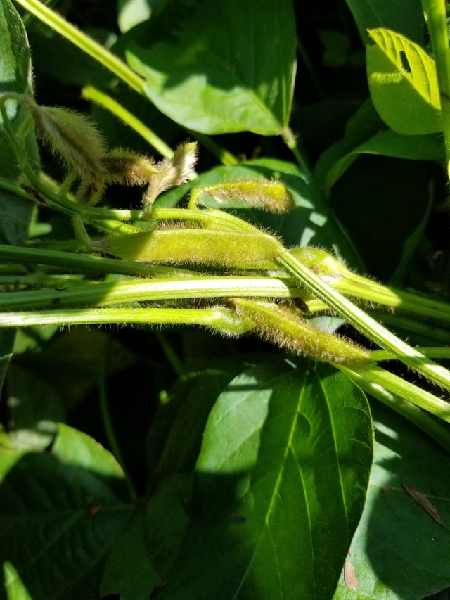 20190912_090004-1620x2160
