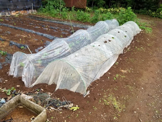 20230430_101522_copy_2016x1512