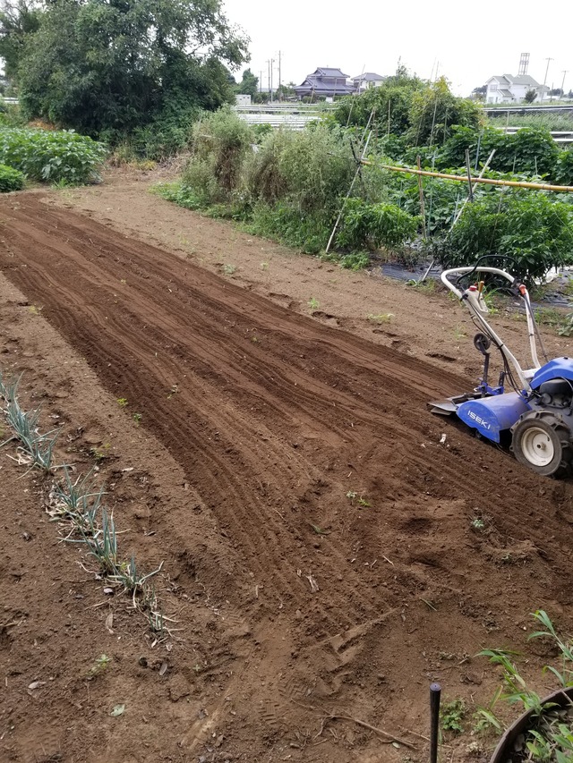 20220825_144247_copy_1512x2016