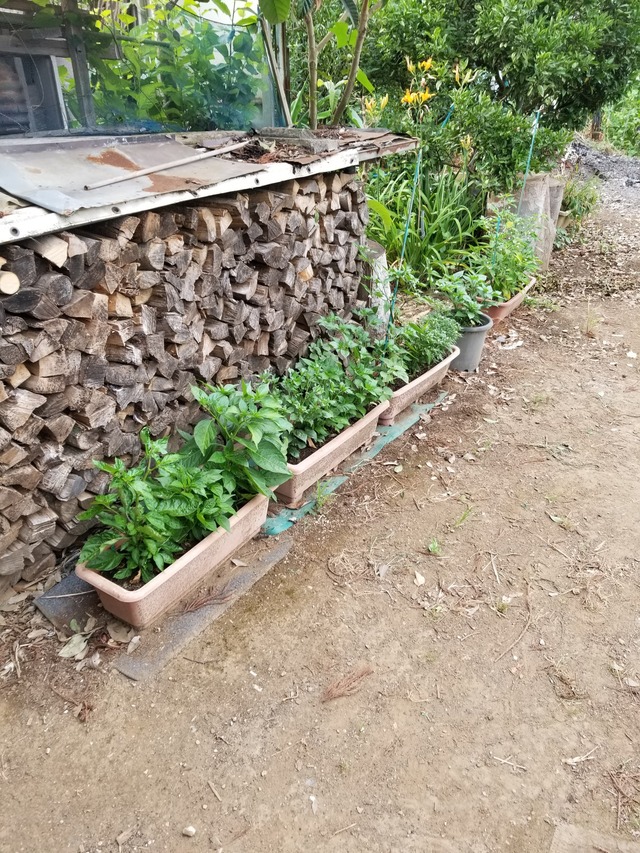 20230630_155558_copy_1512x2016