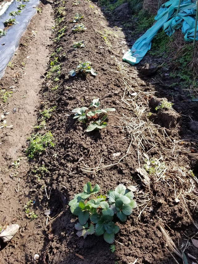 20240224_102006_copy_1512x2016