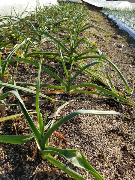 20191231_141822-2268x3024