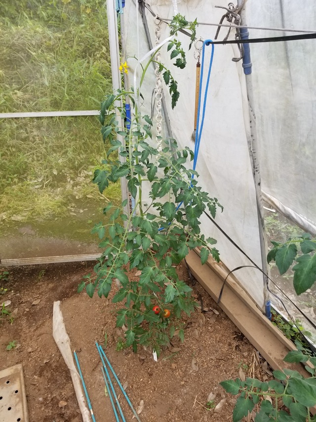 20210605_085018_copy_2268x3024